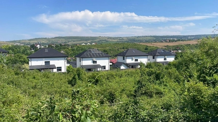 În acest loc din Iași este raiul vulpilor. Locuitorii din zonă spun că sunt terorizați de câteva săptămâni. „Doarme pe terasa casei noastre. În urmă cu două nopți, erau două”