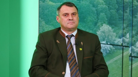 Este posibil așa ceva! Șacalii din Iași se pot înmulți în voie, pentru că nu pot fi vânați. „Noi nu avem echipamente performante”