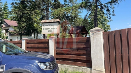 Incendiu în municipiul Iași. Flăcările au cuprins Ocolul Silvic - UPDATE