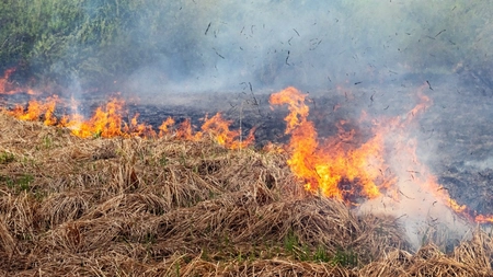 Flăcări uriașe au cuprins zona! Locuitorii au fost alertați printr-un mesaj RO-Alert