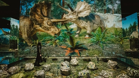 Al treilea muzeu de artă imersivă din România se deschide la Iași, într-un fost spațiu industrial. Când va avea loc inaugurarea MINA