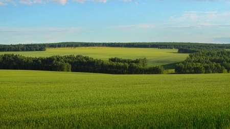 Cum va fi vremea în weekendul prelungit de Sfânta Maria? Surpriză pentru cei care vor fi în Iași în această perioadă