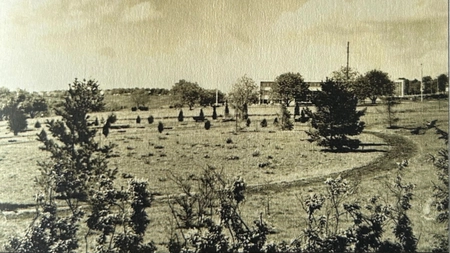 Dezvăluiri uimitoare despre Grădina Botanică din Iași! Cum arăta locul în anii ’60 și ce plante au supraviețuit până acum