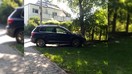 De ce a fost în stare un șofer din Iași! A intrat cu mașina în parc, ca să iasă la plimbare cu copiii