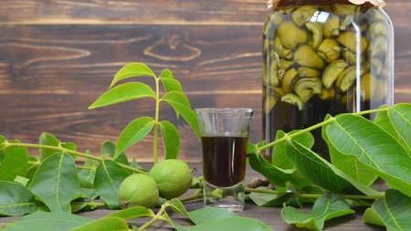 Tinctura de nuci verzi – Cum se prepară și ce beneficii incredibile are acest remediu natural asupra sănătății