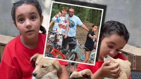 Mai multe ONG-uri sar la gâtul lui Cătălin Măruță! „În goana după imagine, se folosesc de ființe neajutorate!