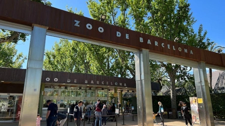 Grădina Zoologică din Barcelona – O atracție de neratat din Spania
