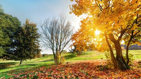 Meteorologii trag un semnal de alarmă: două zile de foc în România! Până unde urcă temperaturile