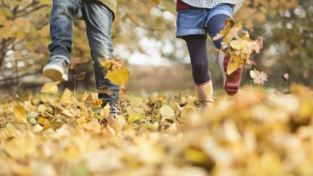 Ultima zi de școală, înainte de vacanța de toamnă. Elevii se pregătesc de o săptămână de pauză. Modulul I se încheie astăzi