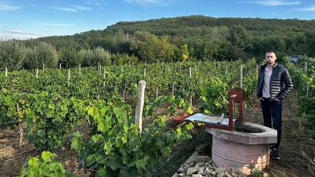 Un tânăr din Iași, în vârstă de 22 de ani, vrea să dea lovitura în afaceri cu o plantație de viță-de-vie: „Vreau să măresc suprafața”