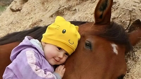 Fetița mea de 2 ani adora să se joace cu calul vecinilor și petrecea ore întregi lângă el: dar într-o zi am aflat ceva cutremurător despre acel cal