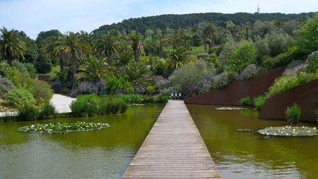 Grădina Botanică din Barcelona – Iată ce specii deosebite poți vedea în acest loc și de ce merită vizitată