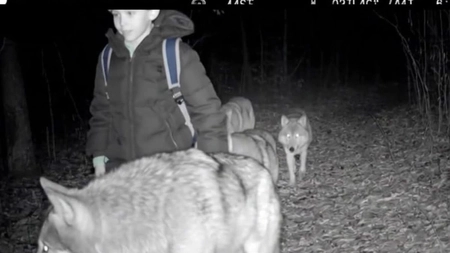 În timpul unei drumeții cu familia, un băiețel de 9 ani cu autism s-a rătăcit în pădure