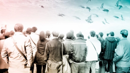 Ce este și ce reprezintă societatea? Informații utile despre societate