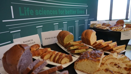 Parteneriat strategic între USV Iași și Grupo Bimbo pentru inovare în industria panificației