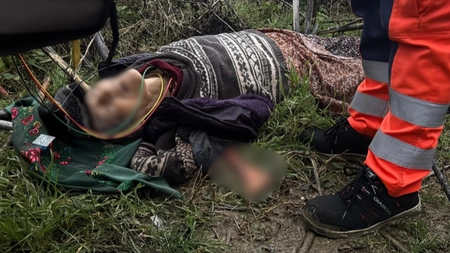 O bătrână a fost mâncată de câini, într-un județ vecin cu Iașul. Imagini greu de privit, după descoperirea șocantă