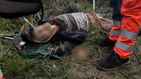 O bătrână a fost mâncată de câini, într-un județ vecin cu Iașul. Imagini greu de privit, după descoperirea șocantă