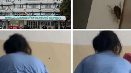 Condiții horror la spitalul din Slatina: gândaci în saloane, toalete de nefolosit! Pacienții vânează insectele cu papucul!