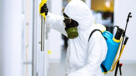 DSP a luat la control firmele de deratizare, dezinsecție și dezinfecție! S-a descoperit că doar 12 din 32 respectă legea. Au fost date sancțiuni de mii de lei