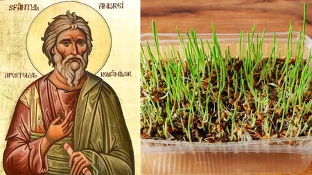 Cum se pune corect grâul la încolțit de Sfântul Andrei. Ritualul care aduce noroc, belșug și protecție pentru tot anul