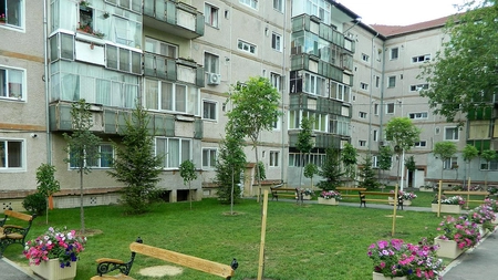 Se schimbă regulile privind îngrijirea spațiilor verzi din jurul blocurilor! Anunț de la primărie!