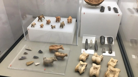 Comorile arheologice de la Dobrovăț sunt expuse la Palatul Culturii. Cercetătorii au descoperit asemănări între civilizația Cucuteni și o cultură chineză