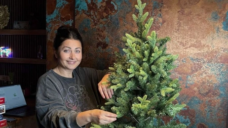 Vedeta a furat startul! Cum și-a decorat Gabriela Cristea casa pentru Crăciun - GALERIE FOTO