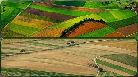 Noi oportunități de finanțare pentru tinerii din Iași. Pot accesa până la 50.000 de euro pentru înființarea unor afaceri de succes