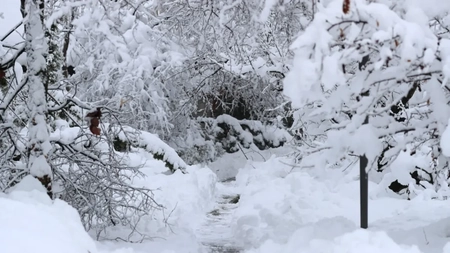 Zăpada pune stăpânire pe regiune. Amenințare uriașă de avalanșă