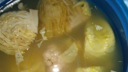 Remediu zeama de varză baloșită. Tradiție, utilizări și precauții