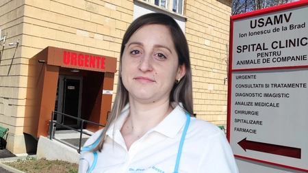 În această perioadă, numărul animalelor de companie care ajung la urgențe crește. Medicii avertizează că resturile de pe masa de sărbători sunt periculoase pentru patrupezi