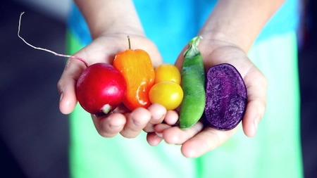 Trucuri eficiente pentru organizarea frigiderului și prelungirea vieții produselor