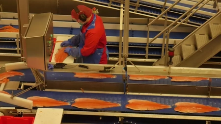 Angajări în Europa: salarii bune, program redus și contracte permanente