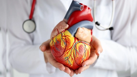 Body Line - Semne și simptome ale problemelor de inimă pe care nu ar trebui să le ignori