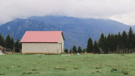 Probleme pentru proprietarii români! Este obligatoriu dacă au un stâlp de electricitate pe un teren privat! 