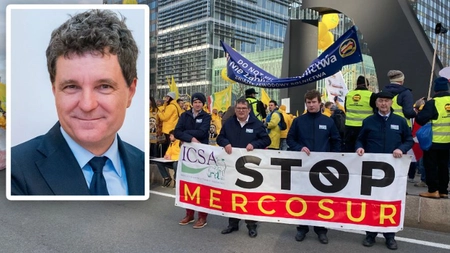 Ion Cristoiu dă cărțile pe față: „Nicușor Dan a cerut semnarea Acordului Mercosur la ordinul venit de Sus!“