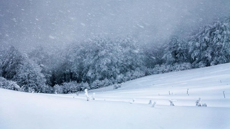 Cod galben de ninsori viscolite! Autoritățile avertizează: „Evitați să porniți la drum pe timp de viscol”