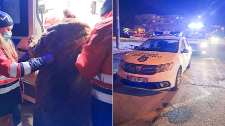 O bătrână de 71 de ani din Iași s-a adăpostit într-un tramvai deoarece nu avea căldură în apartamentul unde locuia. Polițiștii au găsit-o în șoc hipotermic
