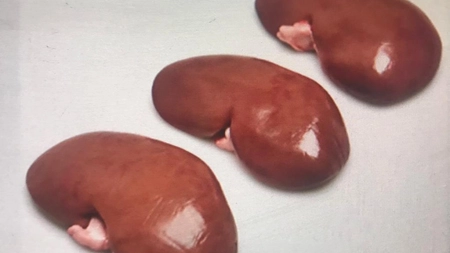 Cu ce se curăță rinichii de porc? Metode simple pentru a elimina mirosul neplăcut și gustul amar!