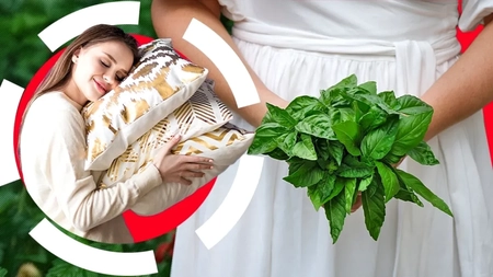 Când se pune busuioc sub pernă, de Bobotează. Tradiția pe care o respectă fetele nemăritate