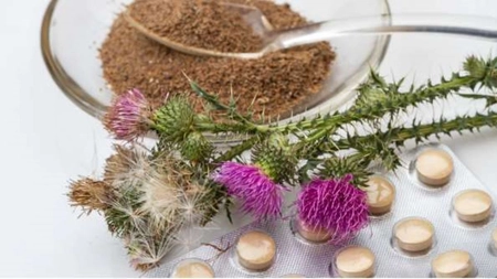 Ce beneficii are silimarina pentru sănătatea ficatului? Află în ce condiții este utilă!