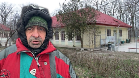 O ieșeancă a ajuns la nebuni după ce a bătut un cal! Constantin Murgu: „Au venit doi polițiști noaptea și au luat-o!”