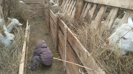 Mihai Plumbu a fost găsit de polițiști în ieslea animalelor. Ce a căutat bărbatul acolo și ce a urmat?