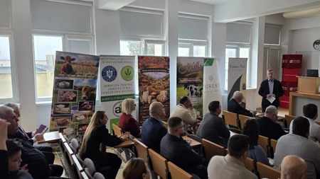 Vaca de lapte – regina zootehniei la Iași. Soluțiile propuse pentru fermierii afectați de prețul mic al laptelui