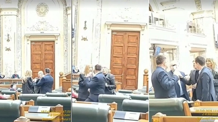 Filmări, țipete și bătaie în Senatul României în timpul unei ședințe. „Madam, unde te crezi?”