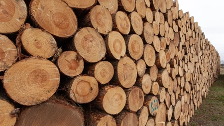 Care este formula de calcul pentru metru cub de lemn de foc? Iată cum se aplică corect!