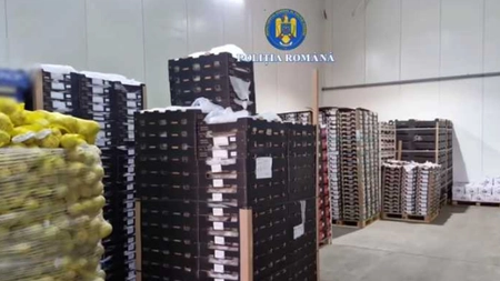 Percheziții în București și alte două județe. Comercianții vindeau fructe din Egipt ca fiind din Grecia, cu pesticide peste limitele legale