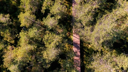 De ce merită văzut Tinovul Mare din Poiana Stampei? Este un loc mai puțin cunoscut, dar cu adevărat deosebit!