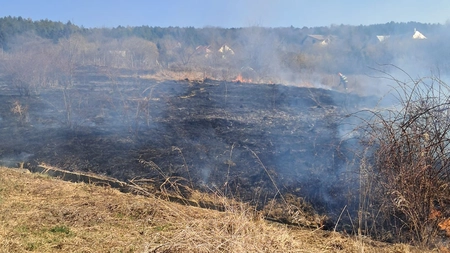 Incendiu de vegetație uscată pe șoseaua Bucium. Pompierii au intervenit - UPDATE