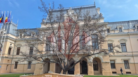 A început să înflorească Magnolia din fața Primăriei Iași